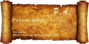Pelvay Antal névjegykártya